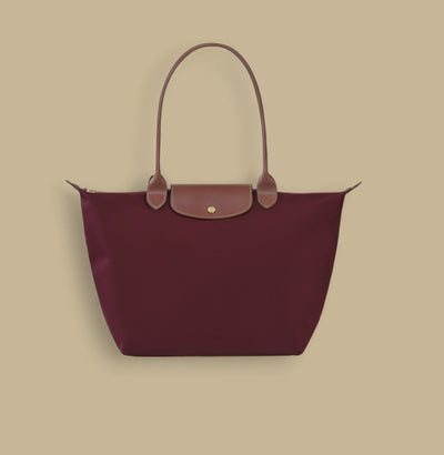 THE VIRAL LONGCHAMP BAG